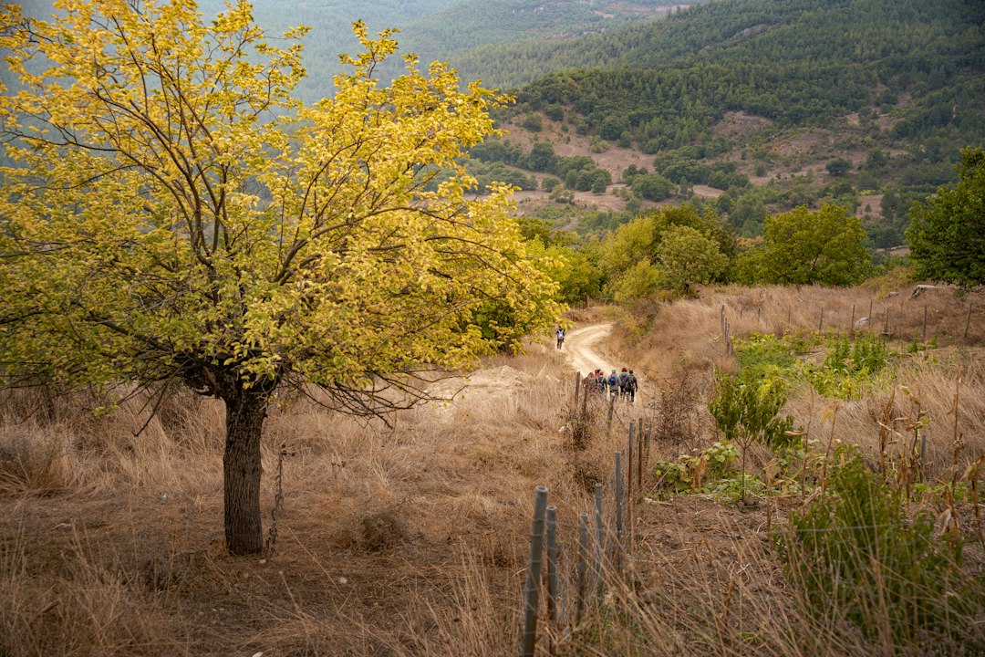 5 Free Things to Do Near Roda Golf During Late October Half-Term
