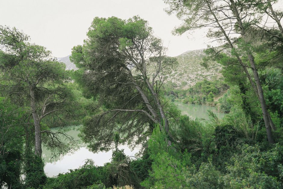 We Escaped July's Heat in El Valle Regional Park's Pine Shade