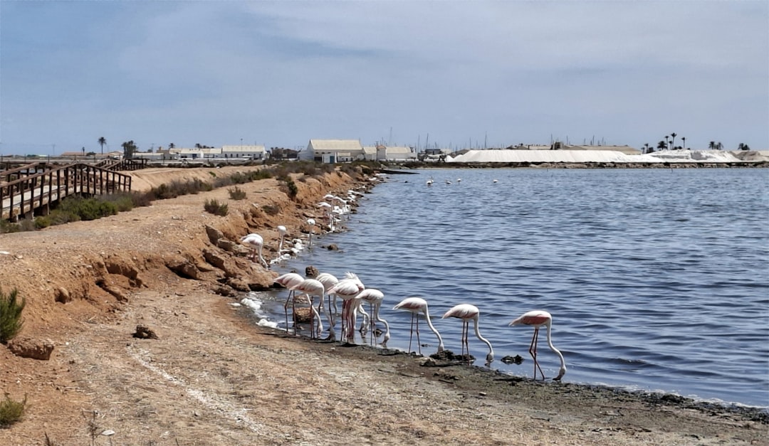 We Tried San Pedro del Pinatar's Free Mud Baths in July Heat