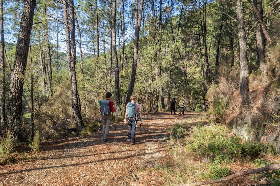 We Hiked Sierra Espuña's Pine Trails on a Cool Autumn Day