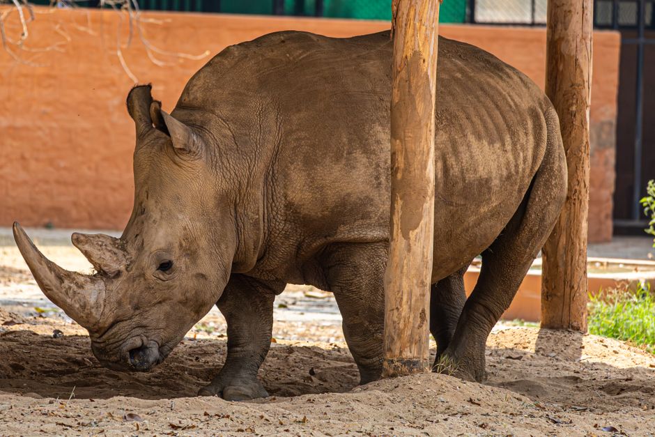 Terra Natura Murcia: A Family Day Trip From Roda Golf