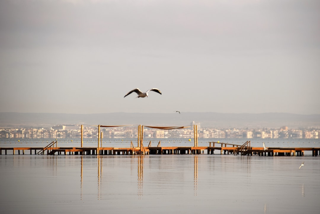 We Spent a July Evening Hopping Los Alcázares' Chiringuitos