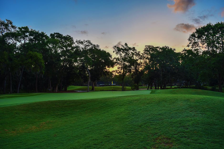 Swing Through History: Golfing and Sightseeing in Cartagena