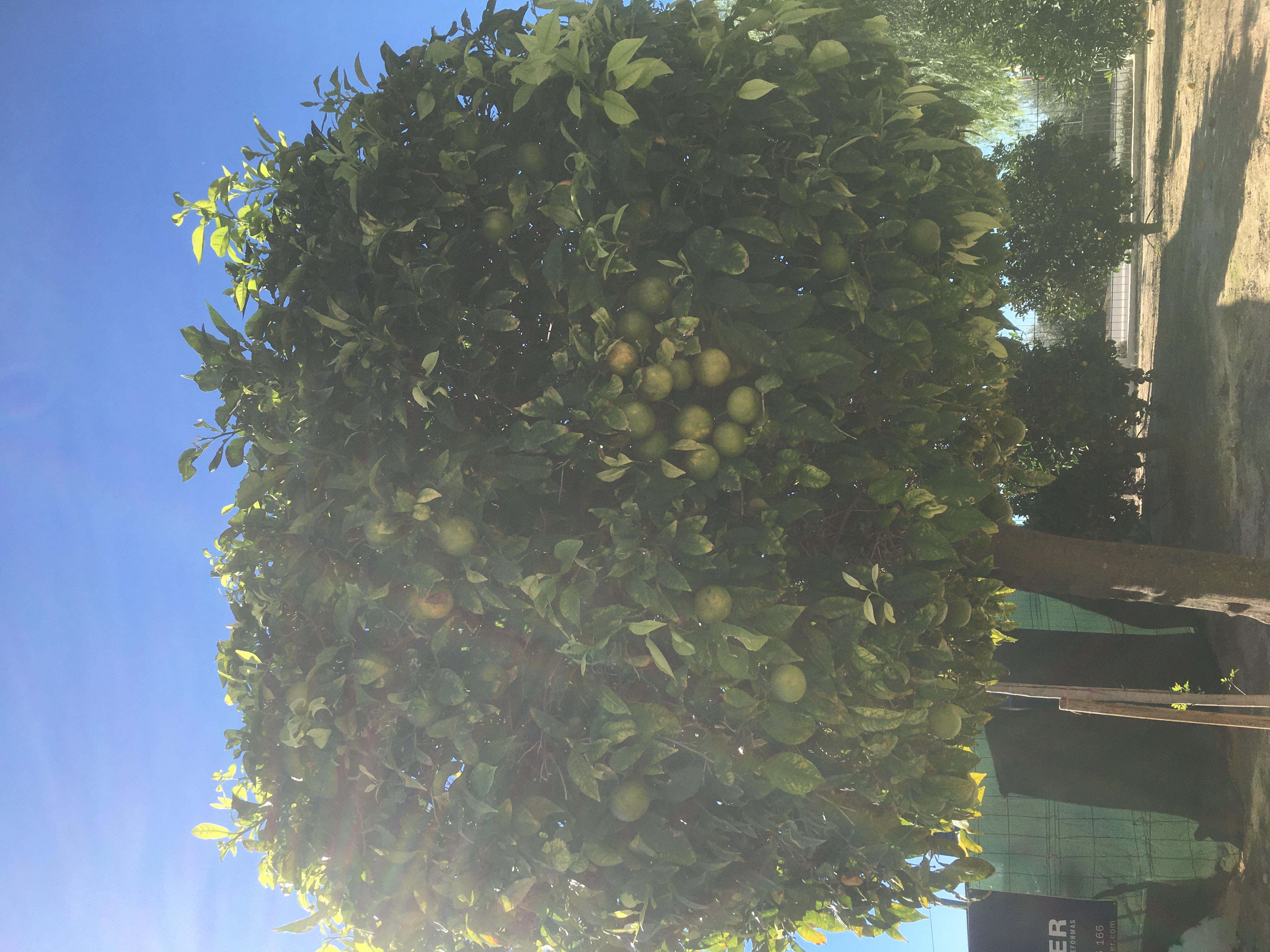 Casa Tara. Beautiful three bedroom ground floor apartment