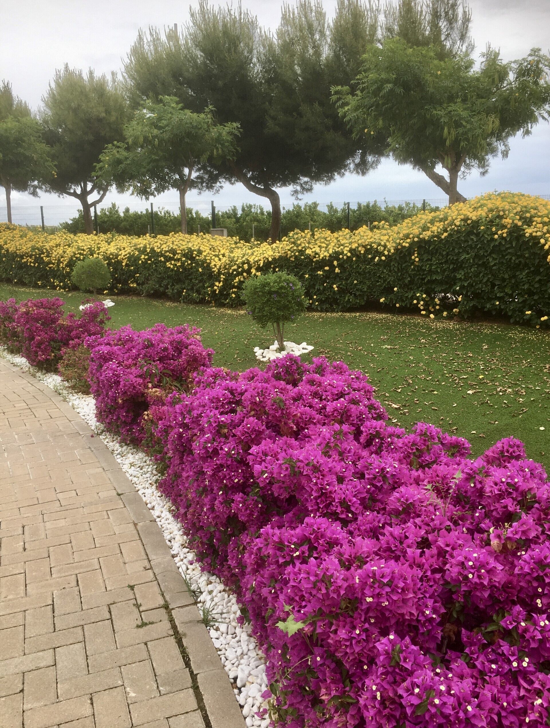 Casa Tara. Beautiful three bedroom ground floor apartment